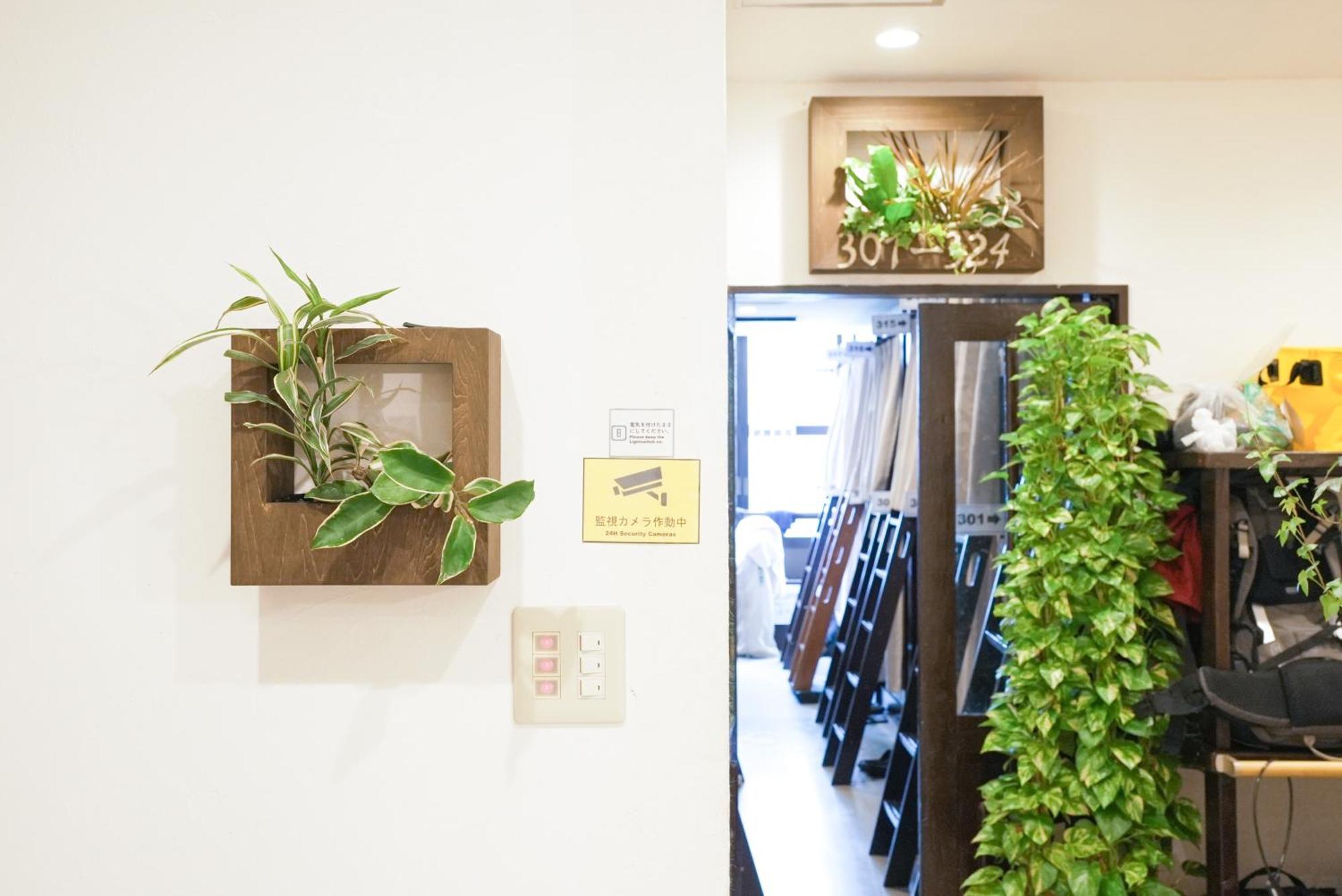 Hostel Lodging Tokyo Ueno מראה חיצוני תמונה